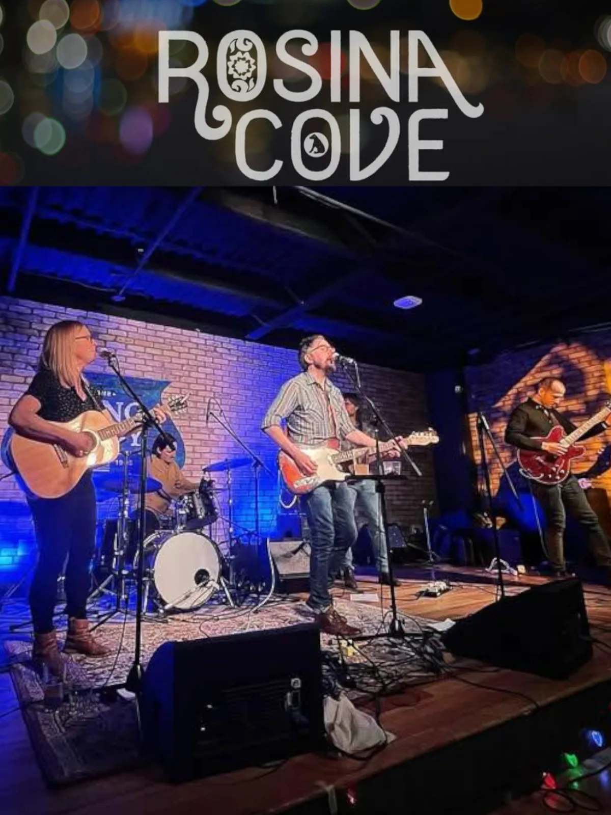 Rosina Cove performing live